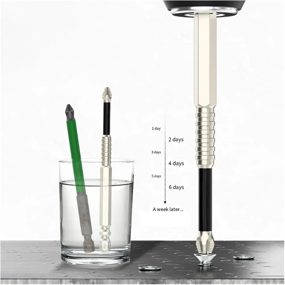 Precision Magnetic Screwdriver Bits | Secure Grip, No Slipping