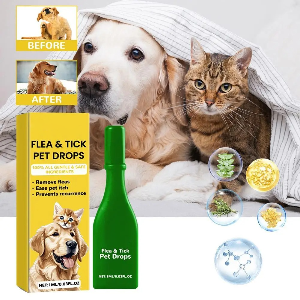 Cat Flea Treatment At Home