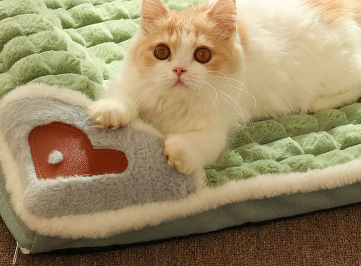 Soft dog bed for small & medium-sized dogs