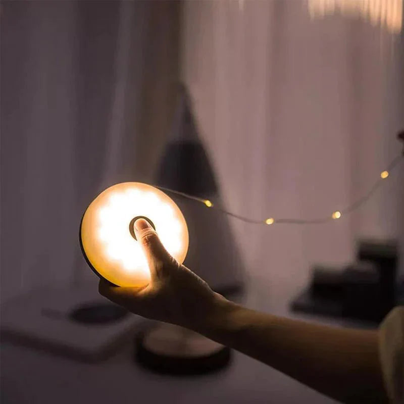 Aurora LED fairy lights