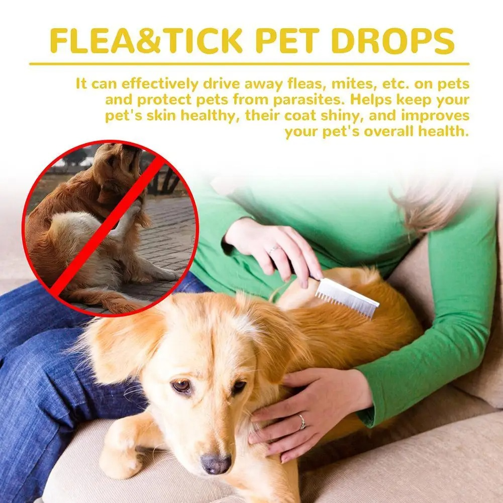 Cat Flea Treatment At Home