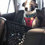 Victor Barrier – Safety Net for Pet in Car