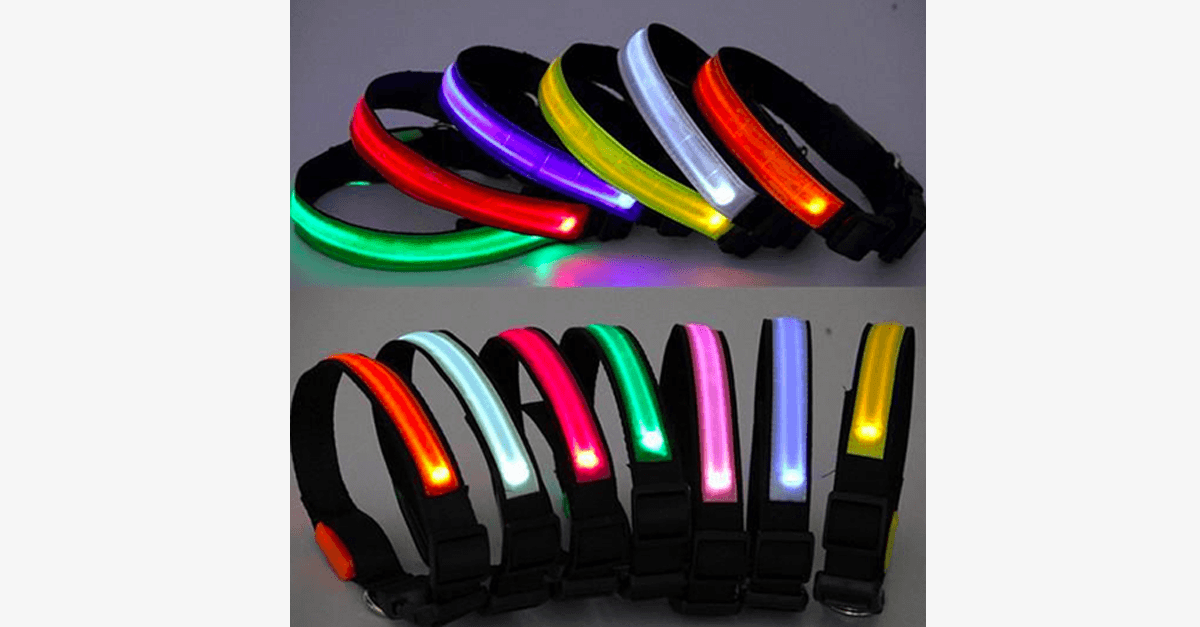 LED Dog Collar – Keep an eye on your pet!