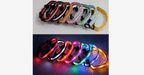 LED Dog Collar – Keep an eye on your pet!