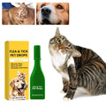 Cat Flea Treatment At Home
