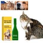 Cat Flea Treatment At Home