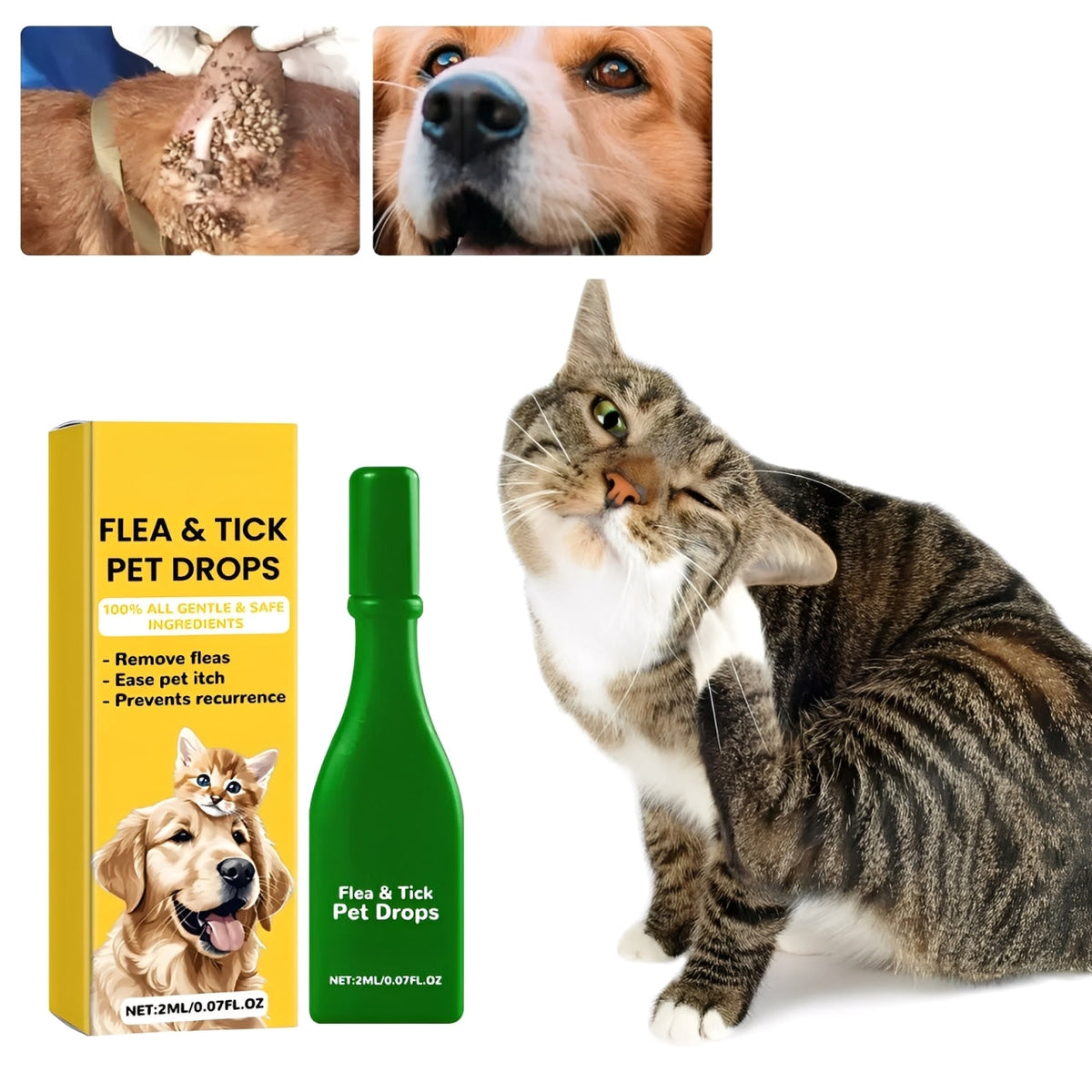 Cat Flea Treatment At Home