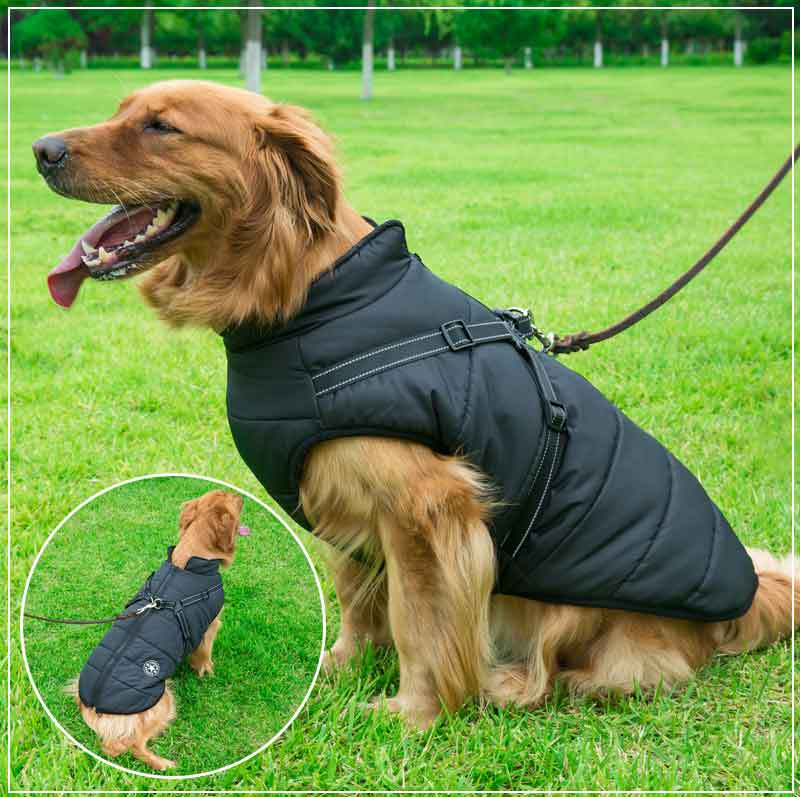 PupGuard - Winter-Dog Coat with Harness