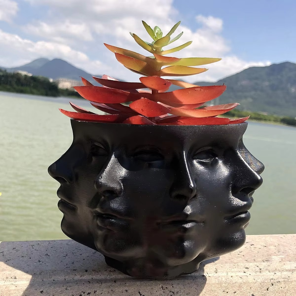 Modern Face Design Pot