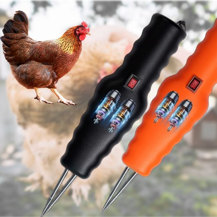 Electric Chicken Eater