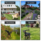 Solar Ultrasonic Animal Repeller For Gardens
