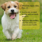 Cat Flea Treatment At Home