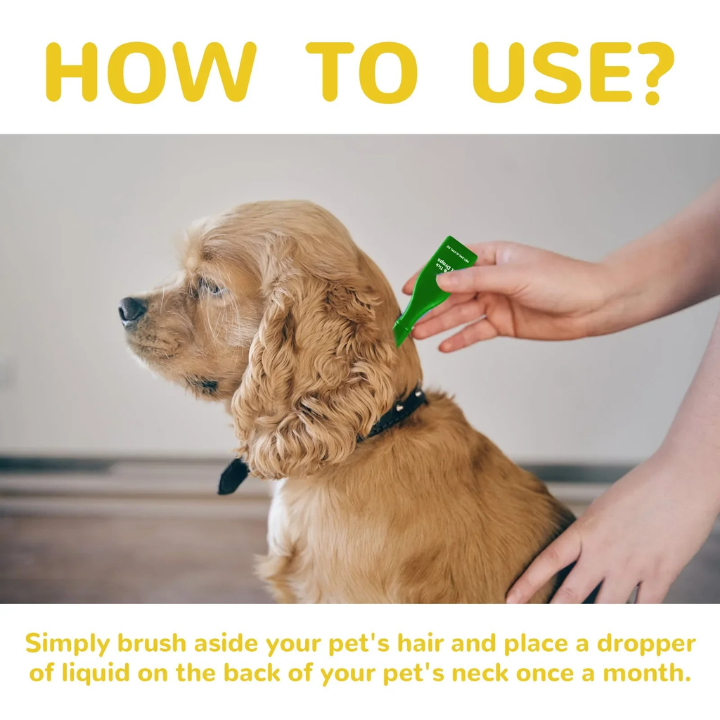 Cat Flea Treatment At Home