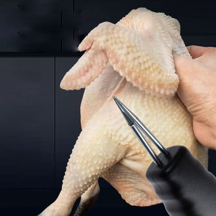 Electric Chicken Eater