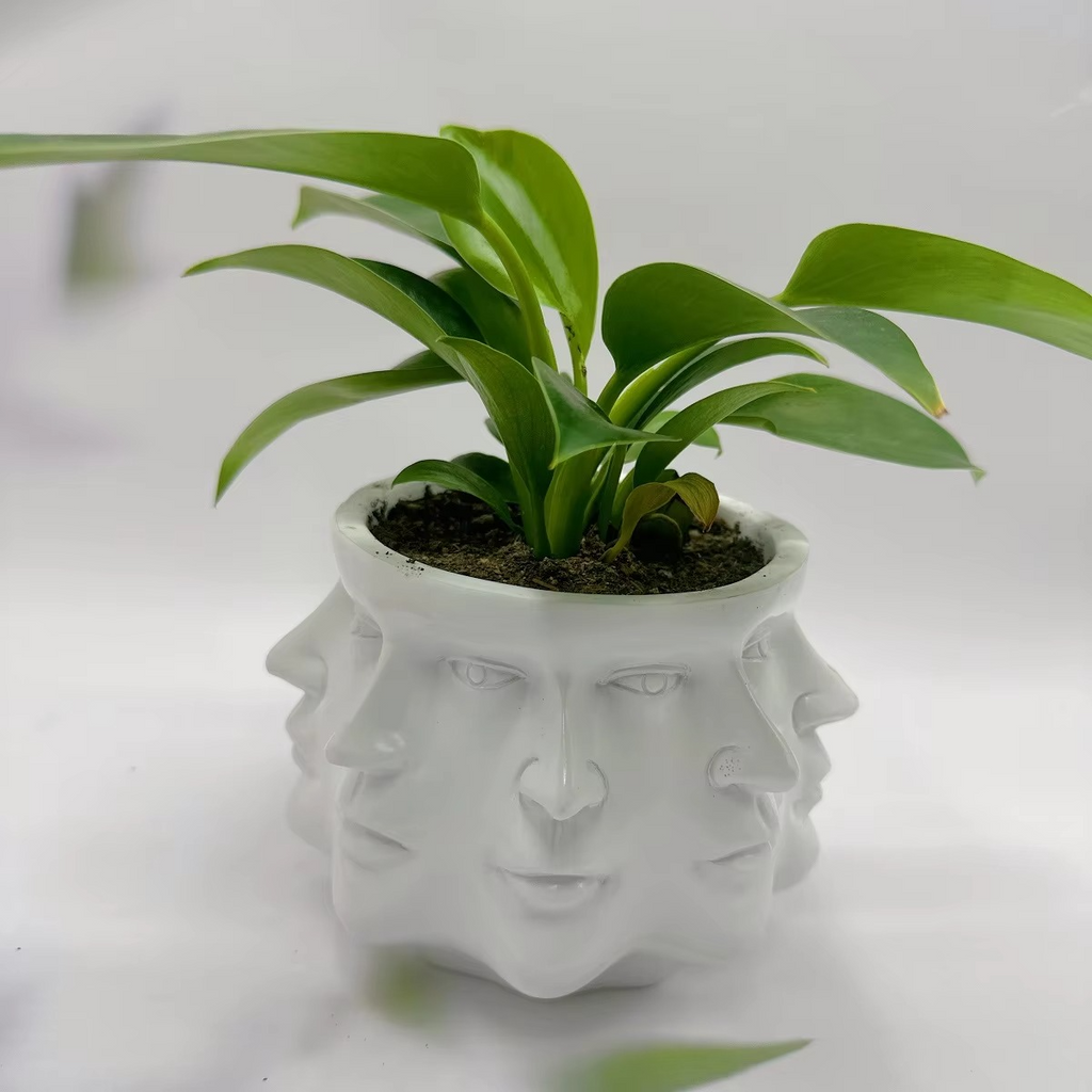 Modern Face Design Pot
