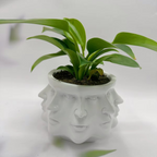 Modern Face Design Pot