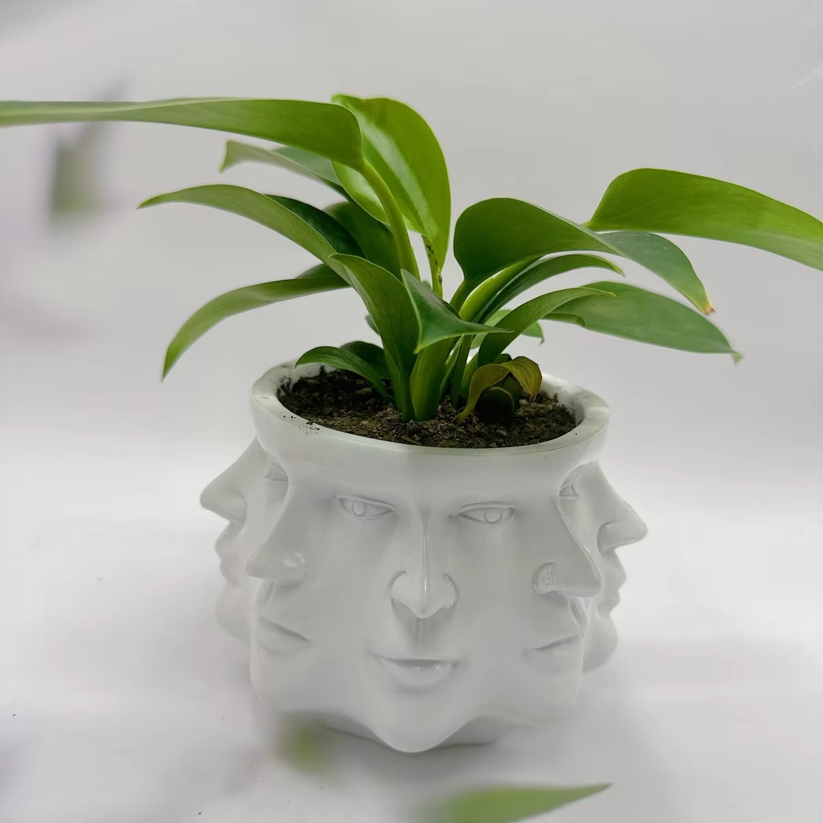 Modern Face Design Pot