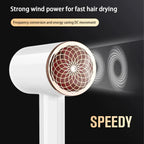 High-performance hair dryer 2400W with cold and warm air function - Ion technology