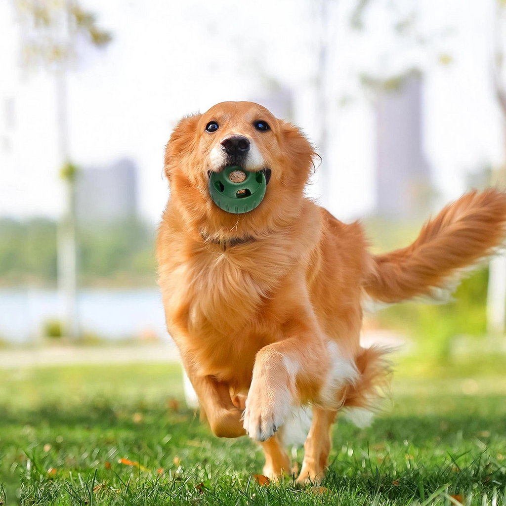 Treat-Licking Ball for Dogs | Durable, Reusable, Summer Fun