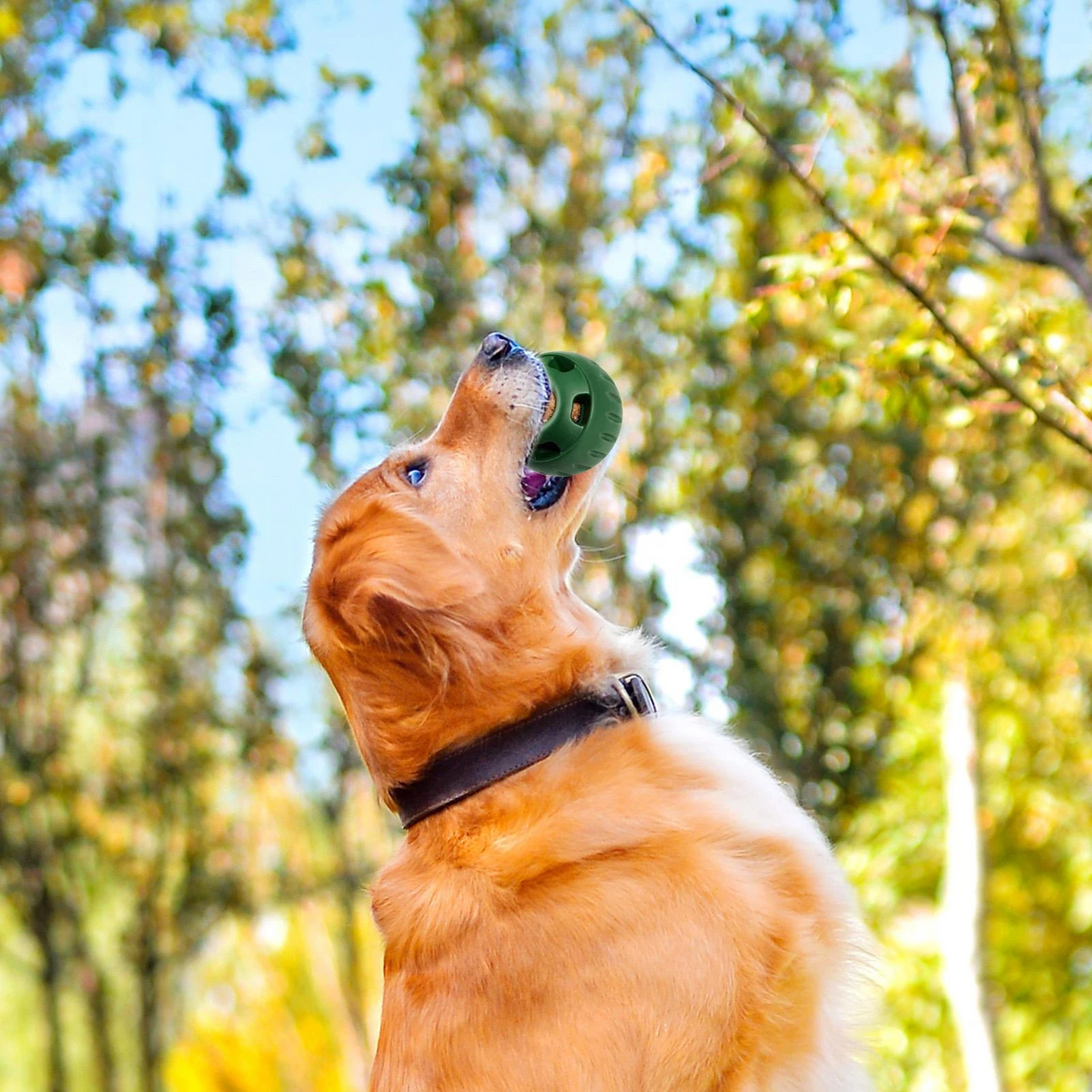 Treat-Licking Ball for Dogs | Durable, Reusable, Summer Fun