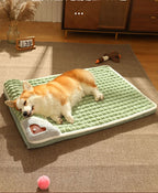 Soft dog bed for small & medium-sized dogs