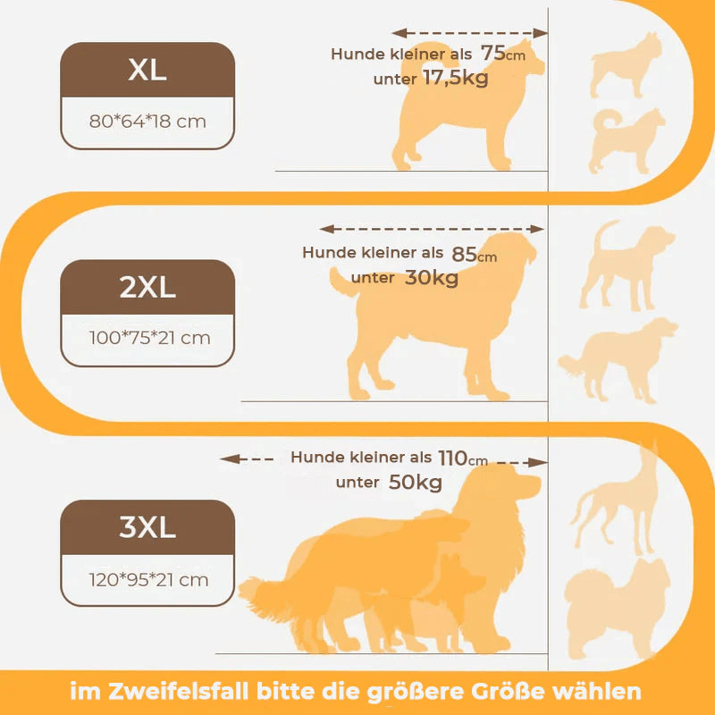 CocoonChien | Optimal comfort for your companion