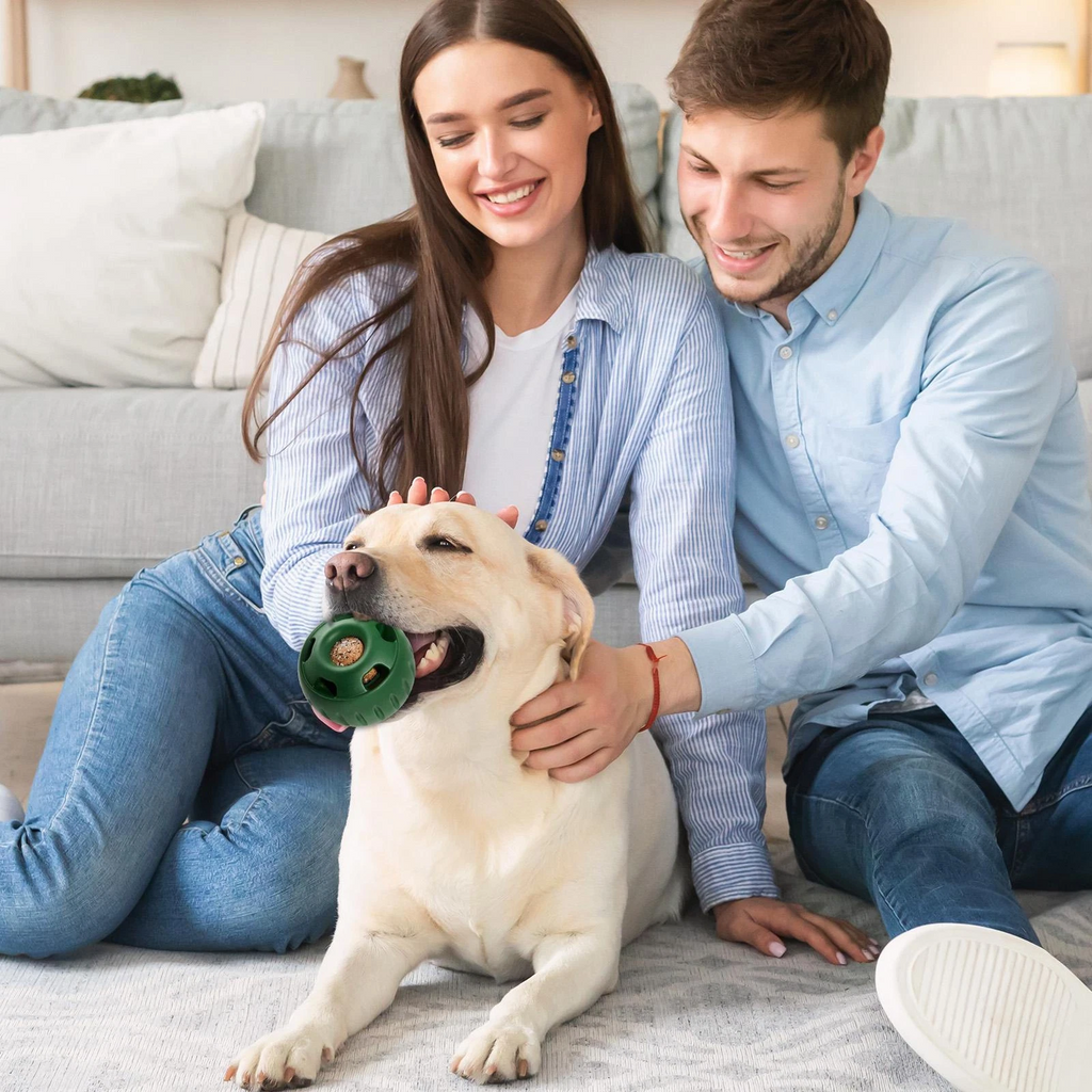Treat-Licking Ball for Dogs | Durable, Reusable, Summer Fun