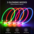 Light Up Dog Collar, USB Rechargeable LED Glowing Collar