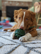 Treat-Licking Ball for Dogs | Durable, Reusable, Summer Fun