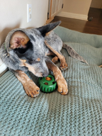 Treat-Licking Ball for Dogs | Durable, Reusable, Summer Fun