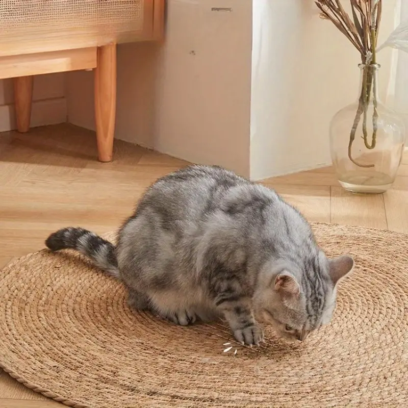 Scratching mat for cats