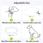Light Up Dog Collar, USB Rechargeable LED Glowing Collar
