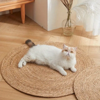 KrazeLuxe Matte — Finally peace from scratching chaos and the favorite spot for your cat