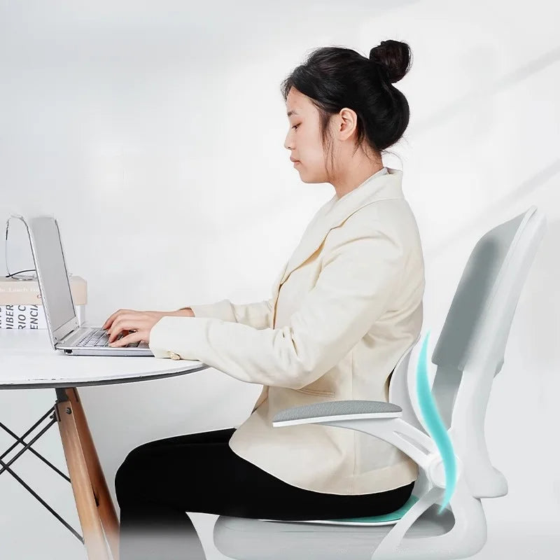 Chair Back Support Cushion