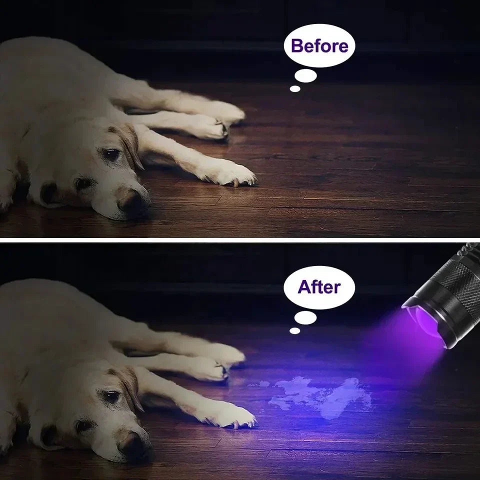 UV Flashlight for Urine and Stains