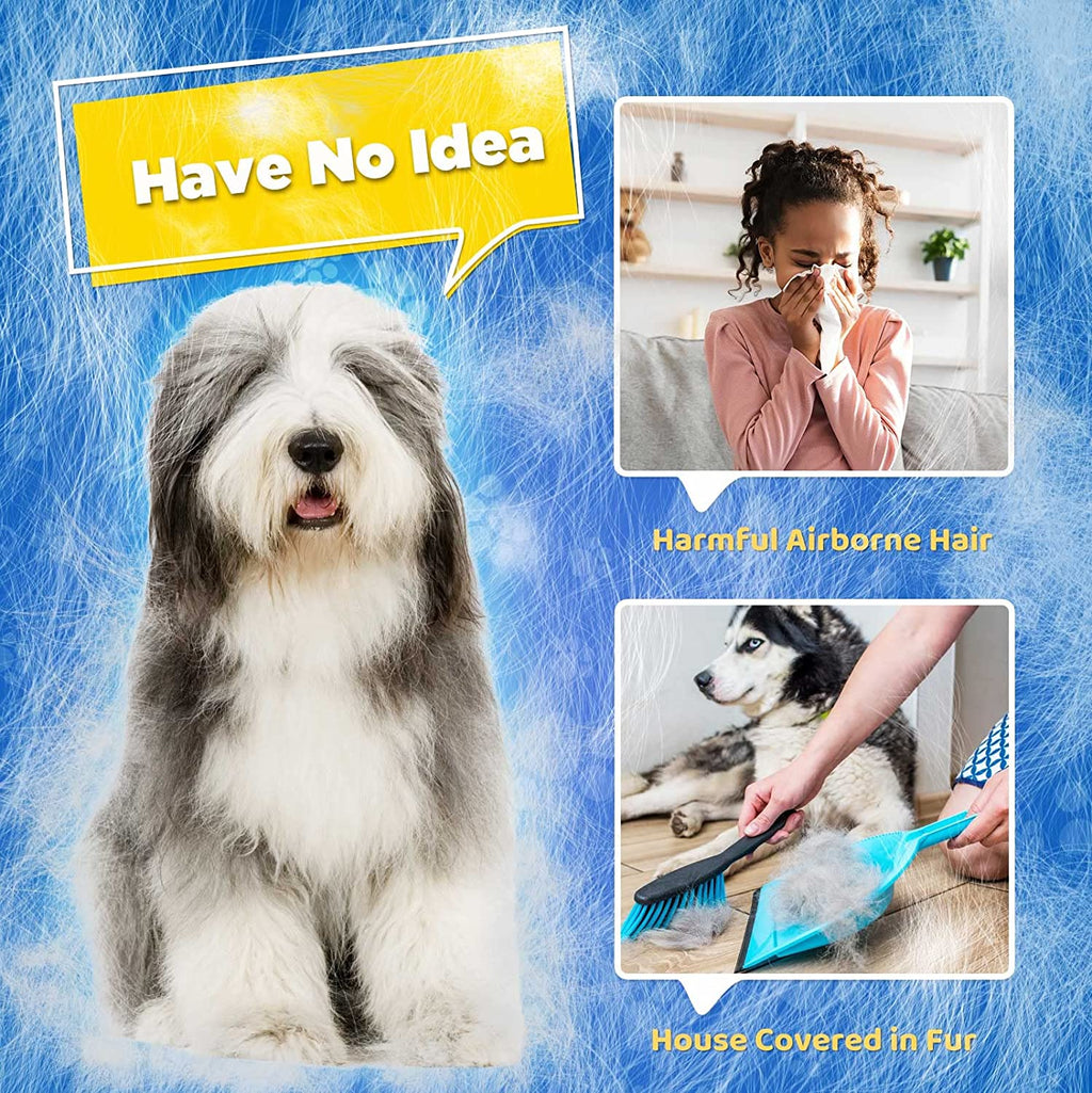 Efficient Care for Pets
