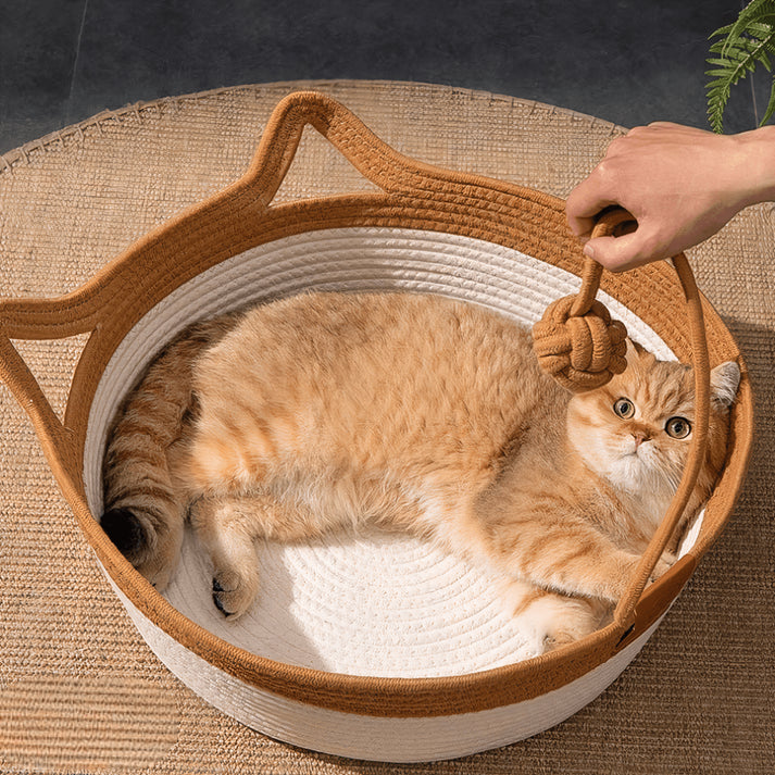 FrostFell Chillout - The cool retreat that keeps your cat relaxed and fresh forever