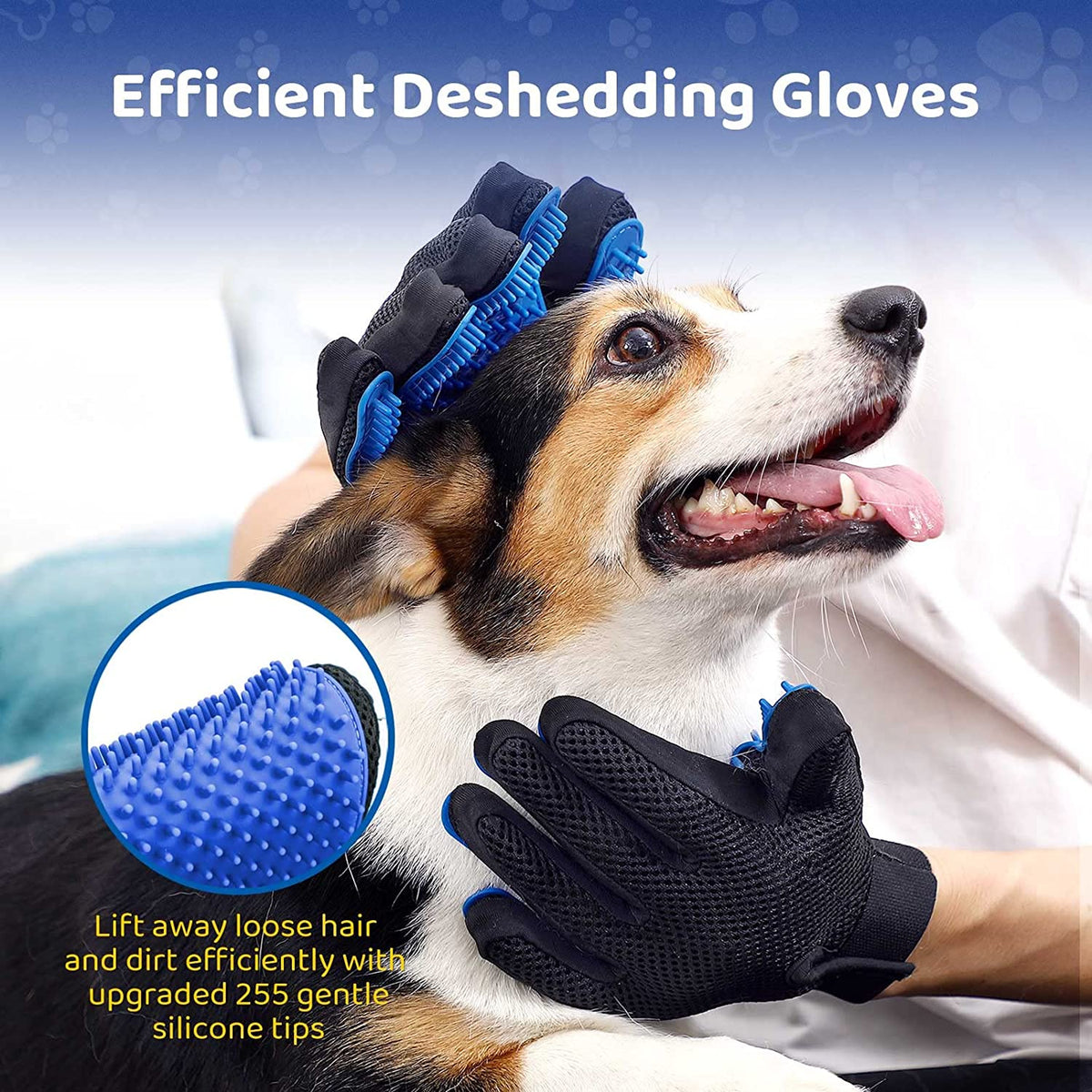 Efficient Care for Pets