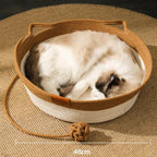 CoolPaws Restful Cooling Escape
