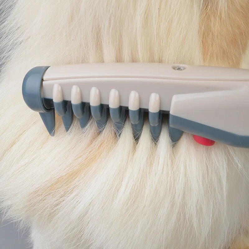 Electric Trimmer for Dogs & Cats