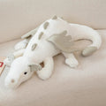 Cute Dragon Friends to Cuddle