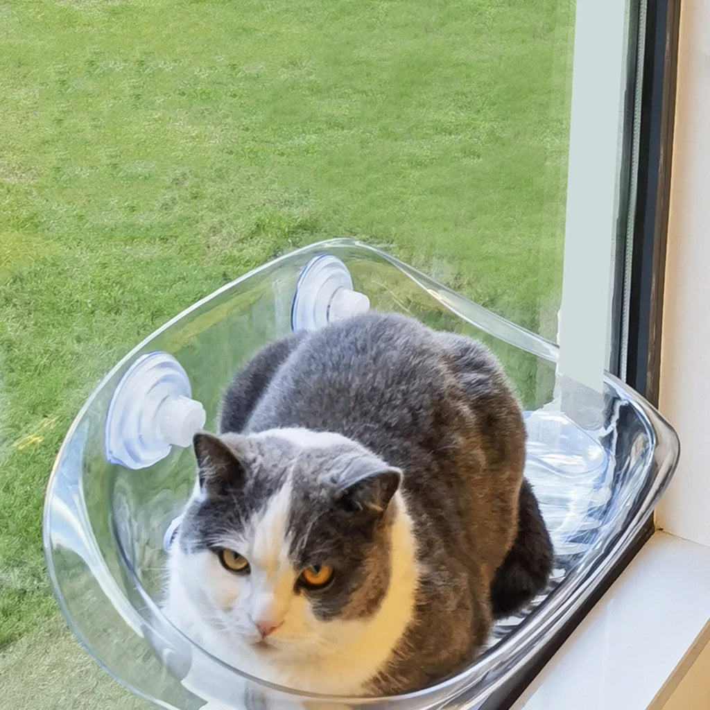 Cat-Safe-Hammock | The ultimate comfort for your cat