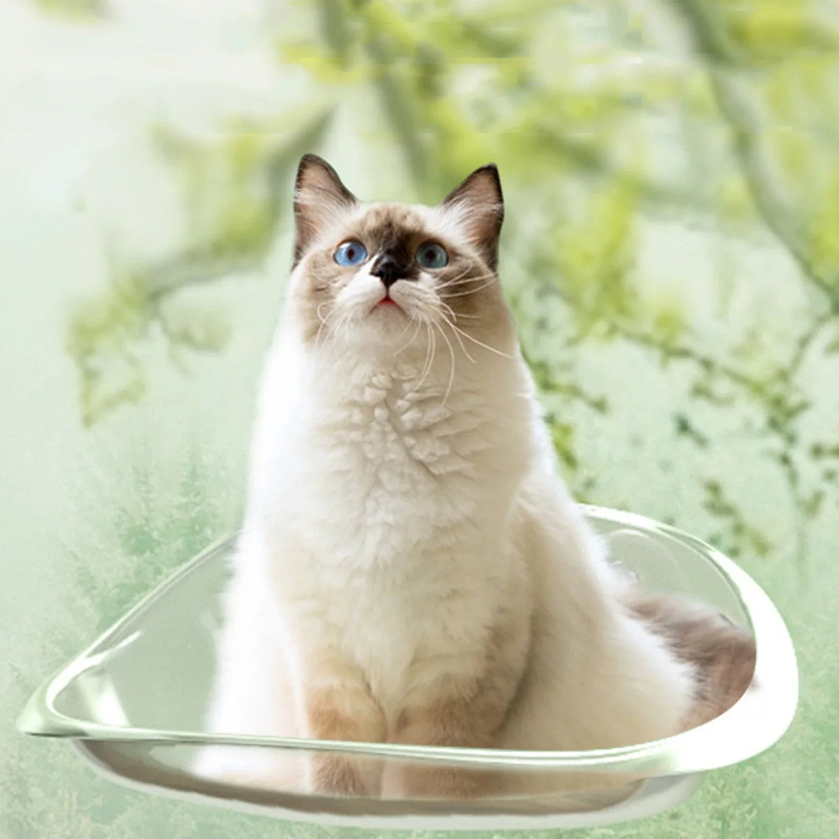 Cat-Safe-Hammock | The ultimate comfort for your cat