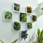 GreenFrame Wall Decoration – 3D Art Plant in Modern Hanging Frame