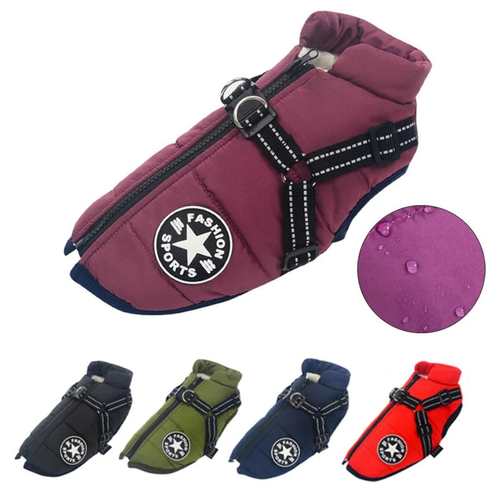 DryPaw - Waterproof Dog Coat