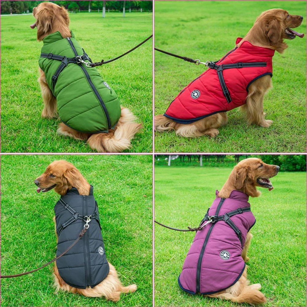 DryPaw - Waterproof Dog Coat