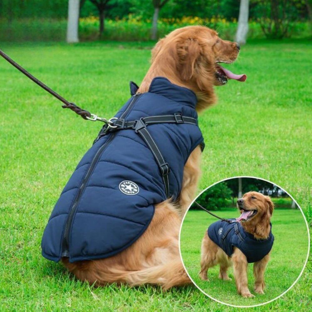 DryPaw - Waterproof Dog Coat
