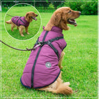 DryPaw - Waterproof Dog Coat