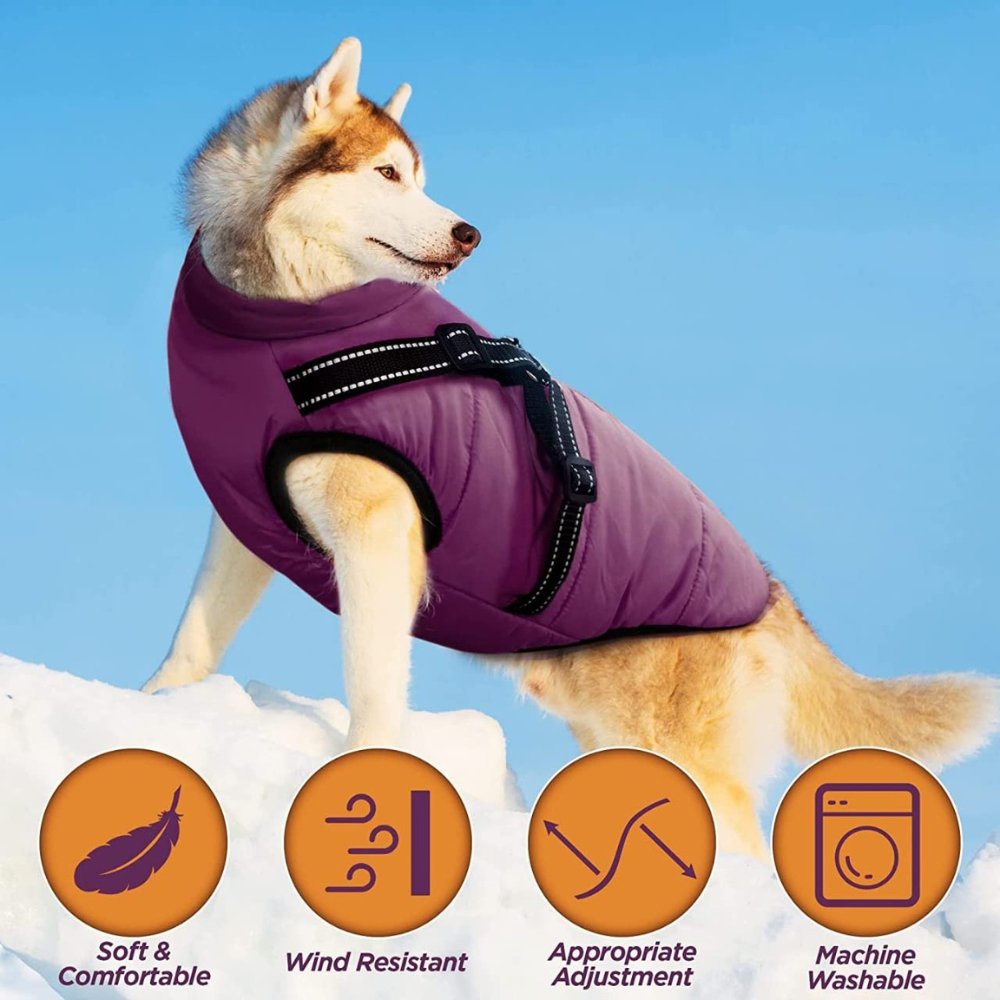 DryPaw - Waterproof Dog Coat