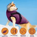 DryPaw - Waterproof Dog Coat